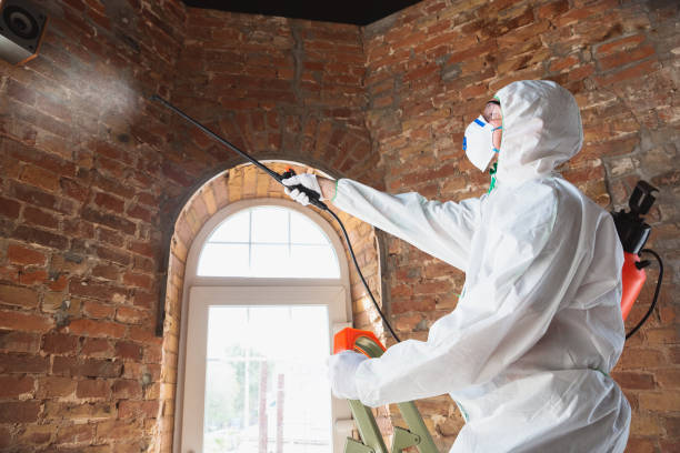 Why You Should Choose Our Mold Remediation Services in Caryville, TN