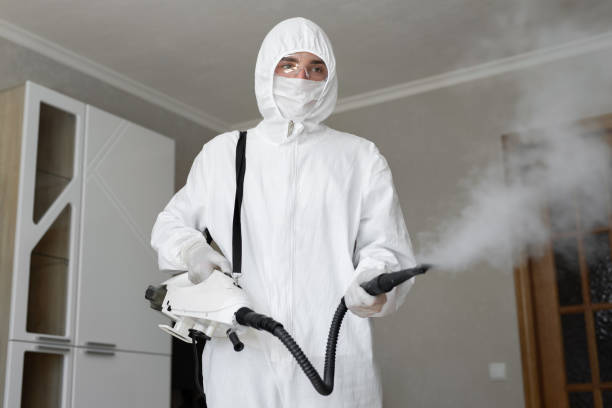 Best Mold Removal for HVAC Installations in Caryville, TN