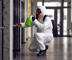 Best Mold Remediation for Healthcare Facilities in Caryville, TN